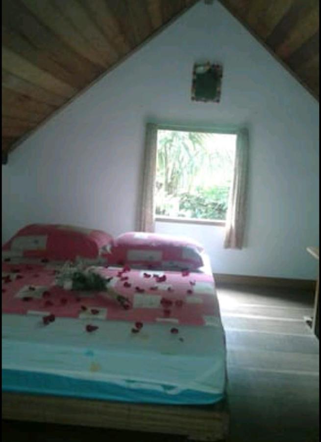 טרינידאדה Chale Das Flores מראה חיצוני תמונה